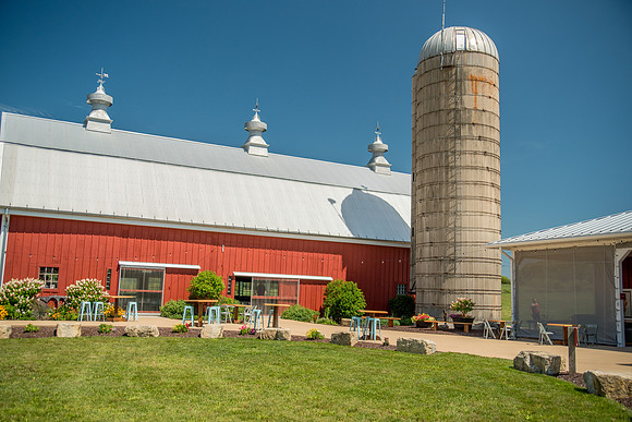 DSC_1447